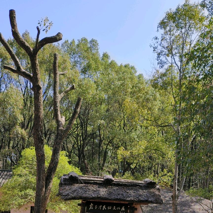 阿斯顿