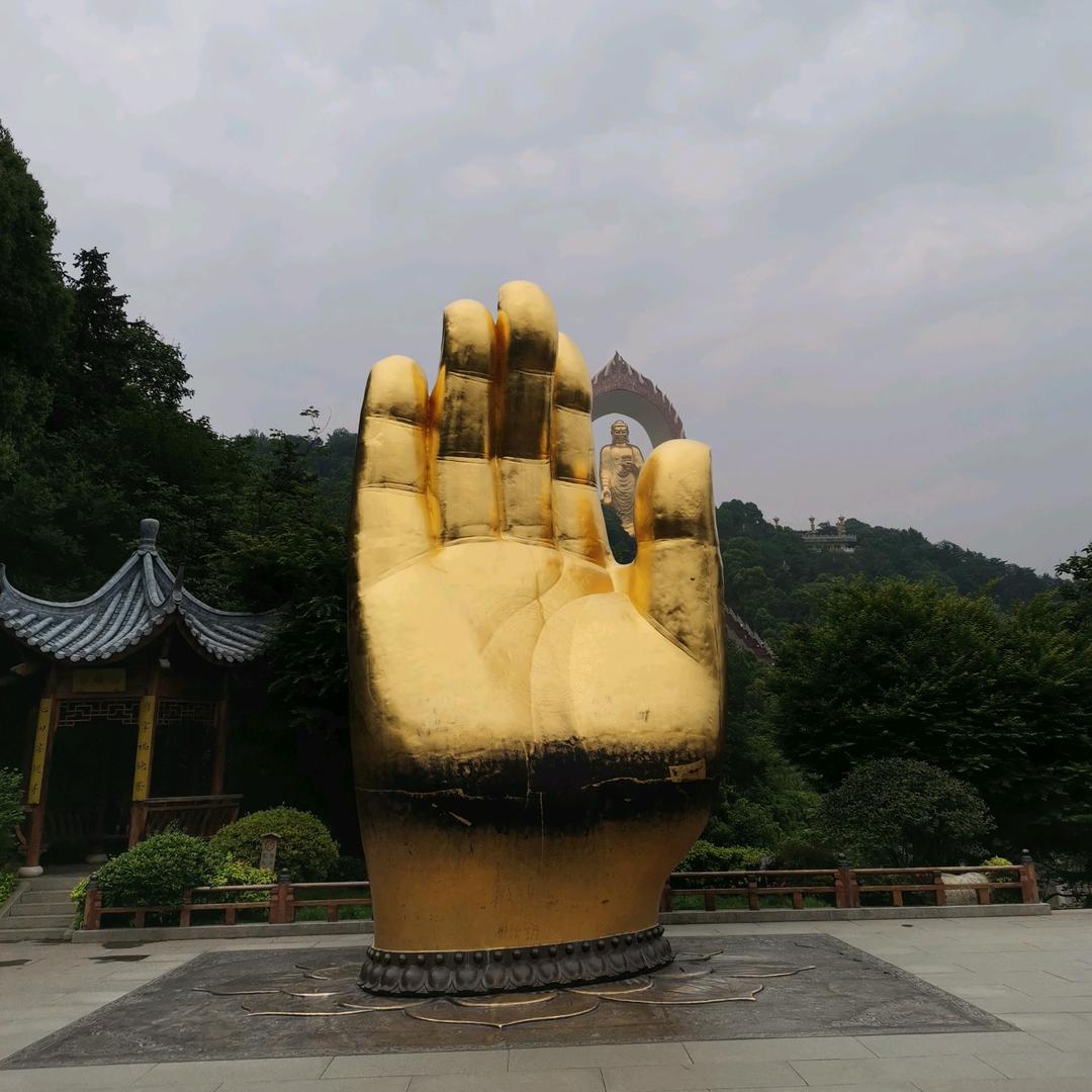 君临天下