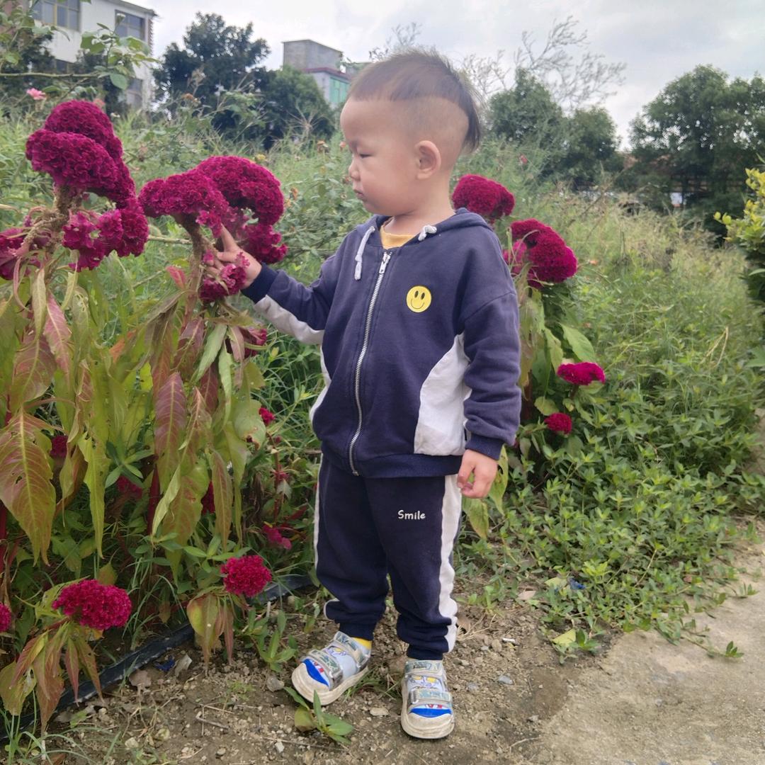 《陳家小姐》🌺拒绝私聊