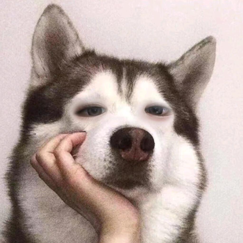 风起🤥