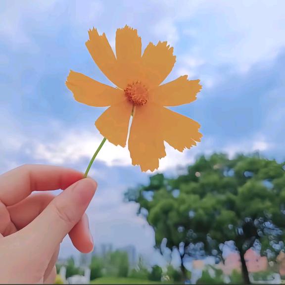 Ｓummer。