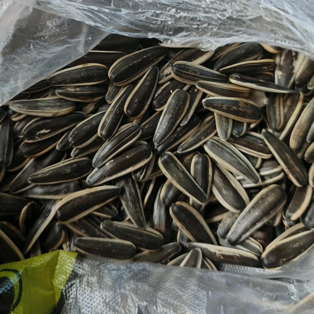 瓶子 爱美食