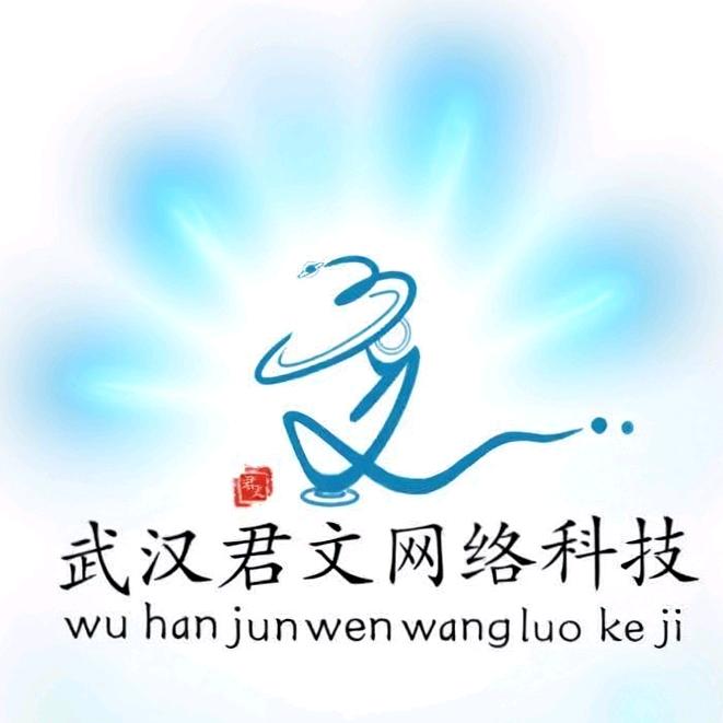 武汉市江岸区君文网络科技经营部
