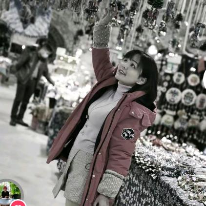 啊莉嬢红油素粉店官方号