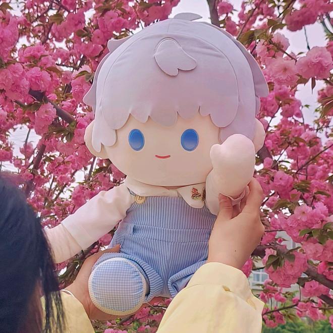 星星蛋卷