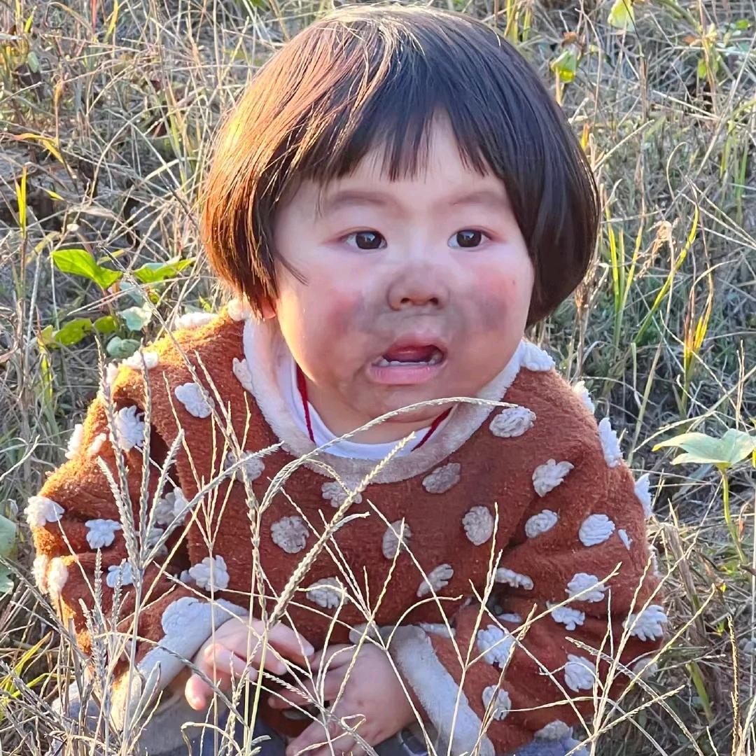 了有刘