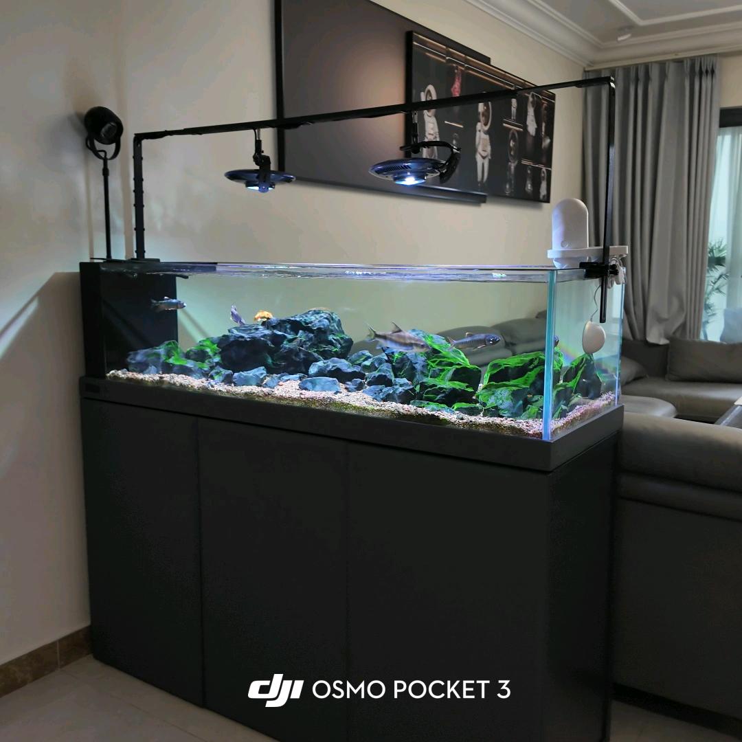 一一风荷举