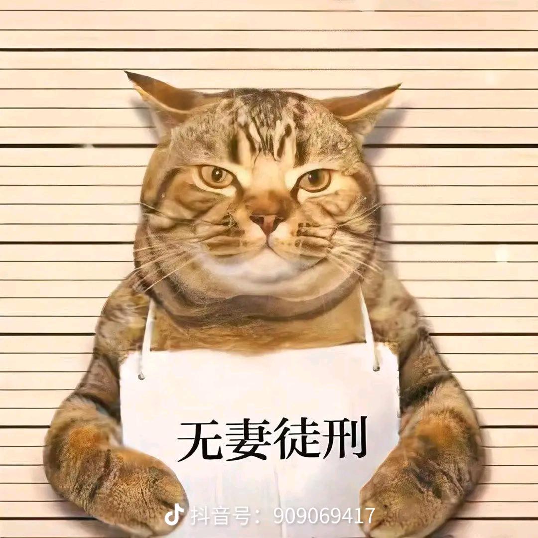 哈基晨