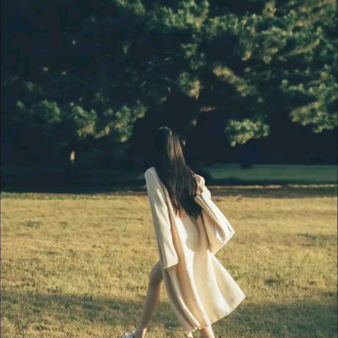 白茶