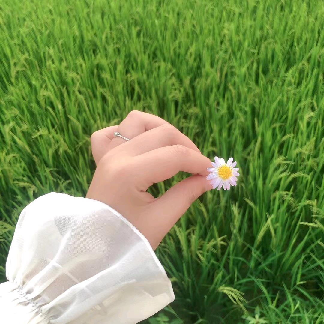 涵涵