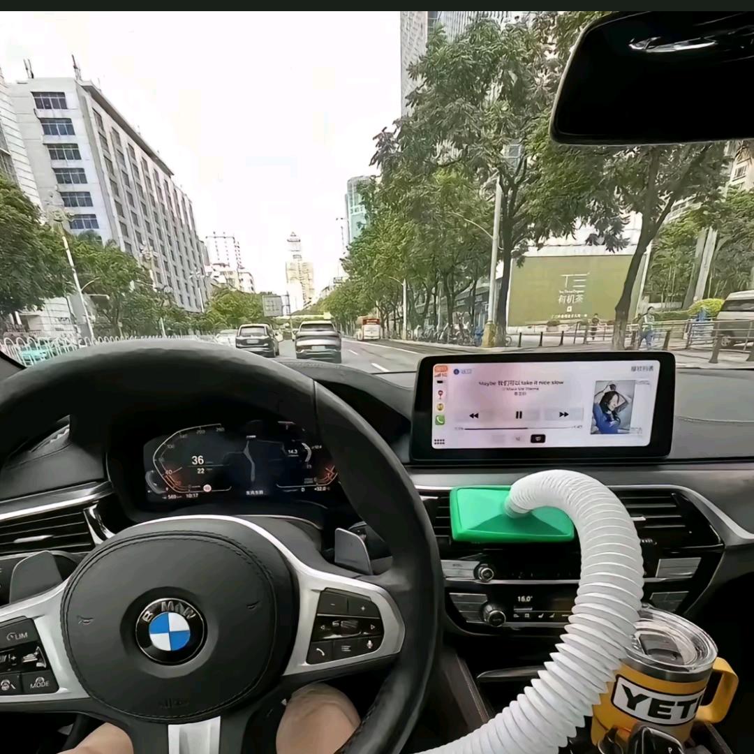我是小鑫鑫