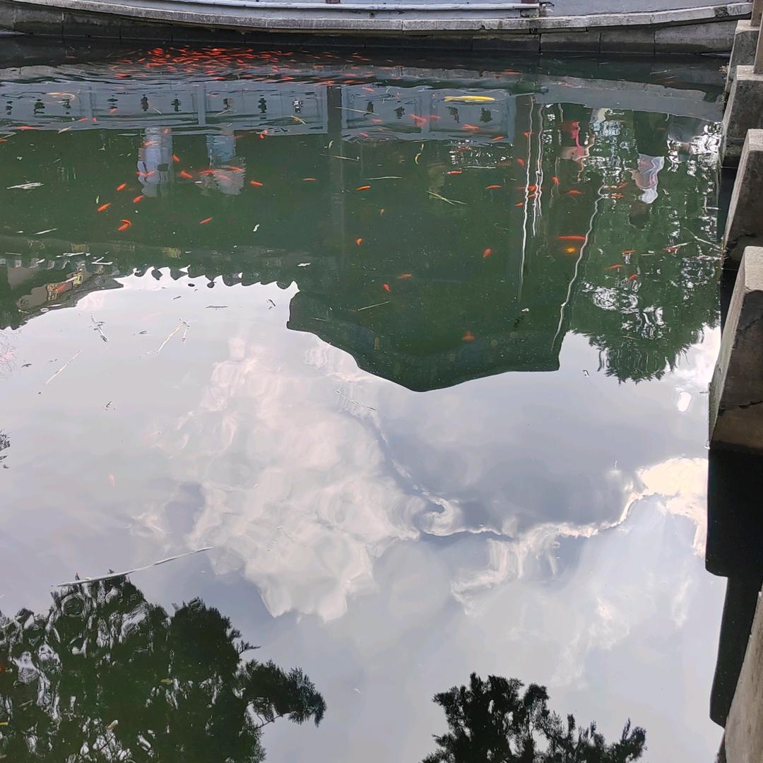 机械设备管道安装工程