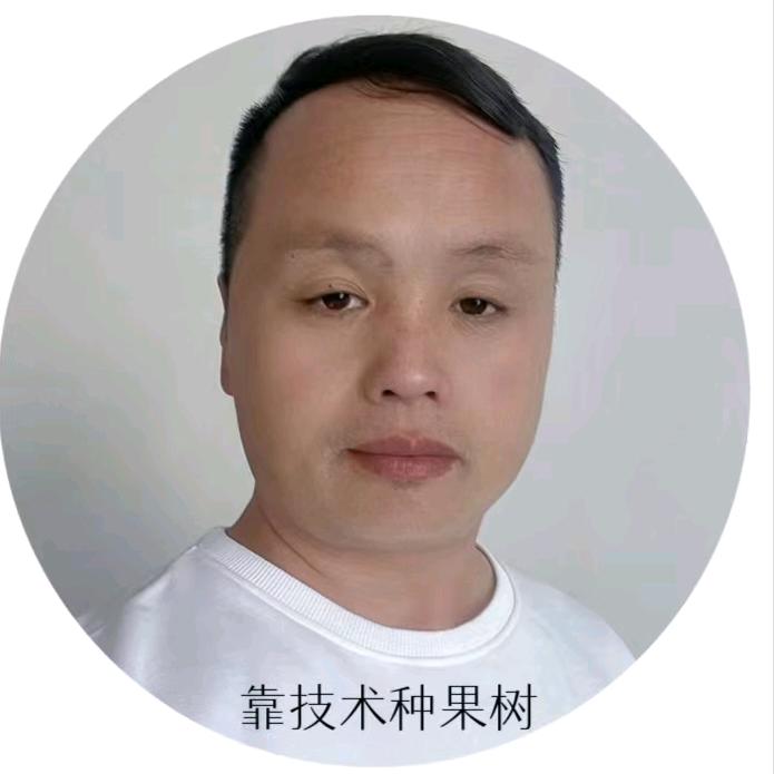 靠技术种果树（黄永）