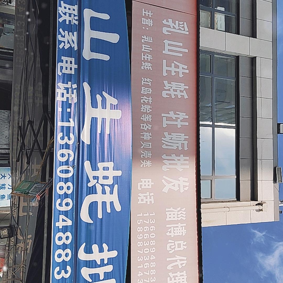 淄博生蚝牡蛎批发