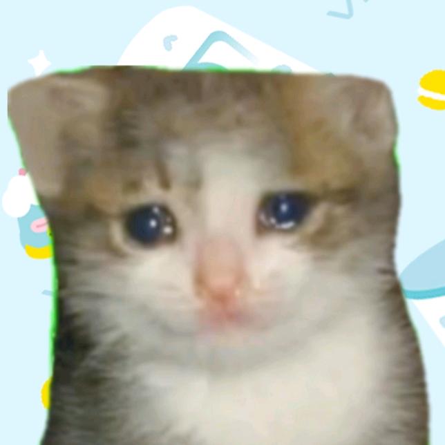 猫猫爱情说