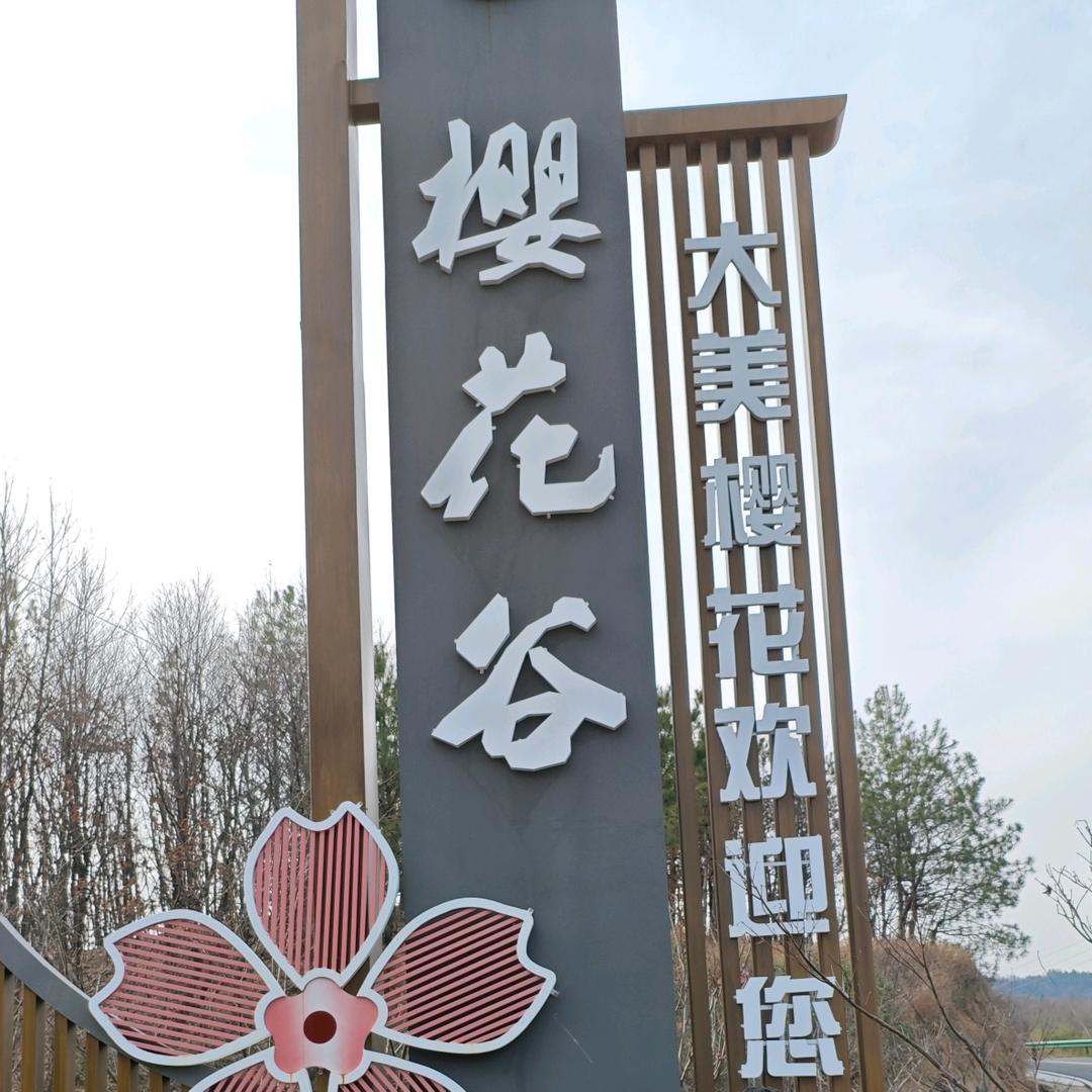 静心修行
