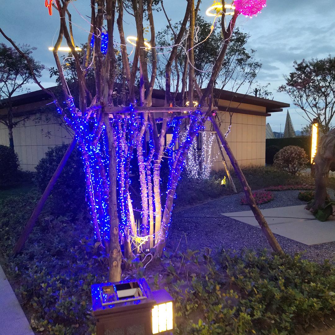 星辰大海