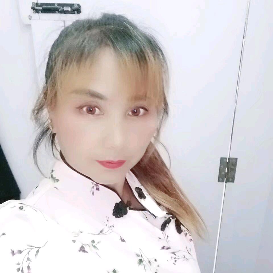 北雁南飞