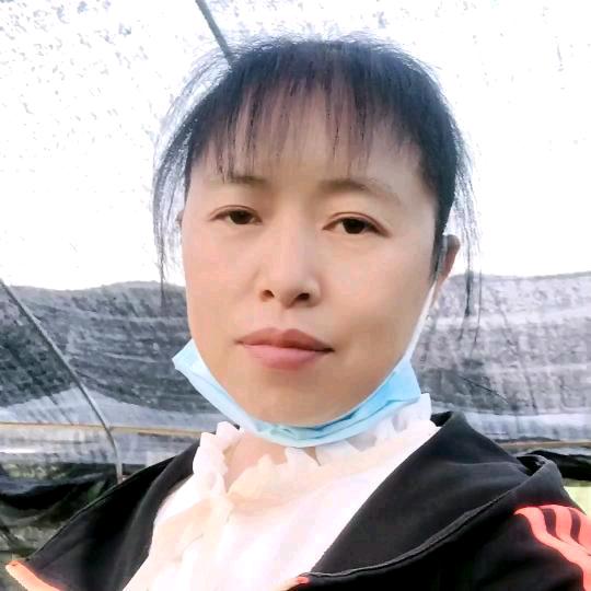 我的心好累