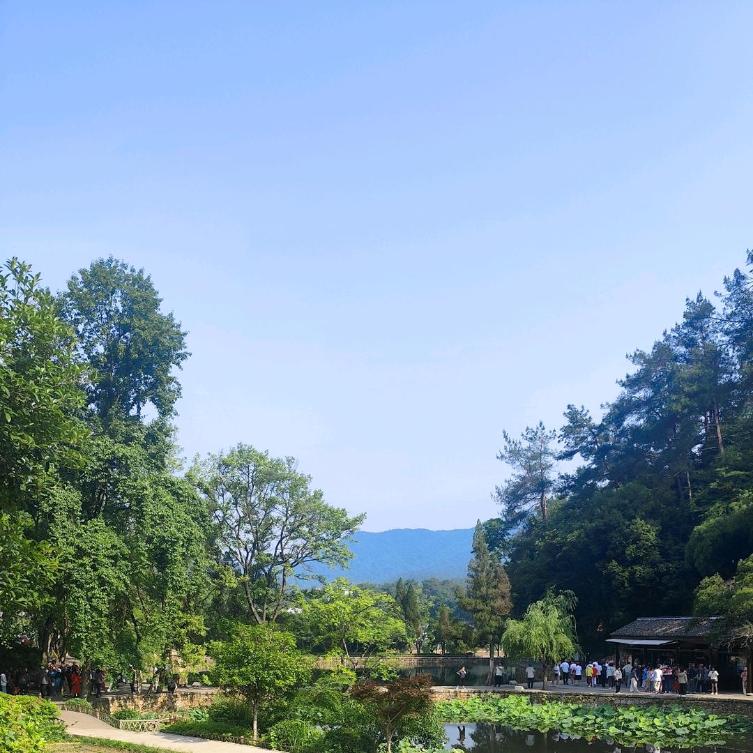 红山果