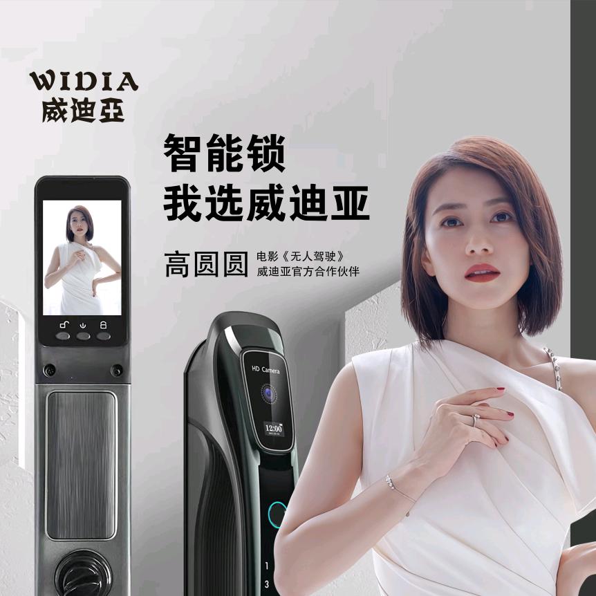 威迪亚智能锁