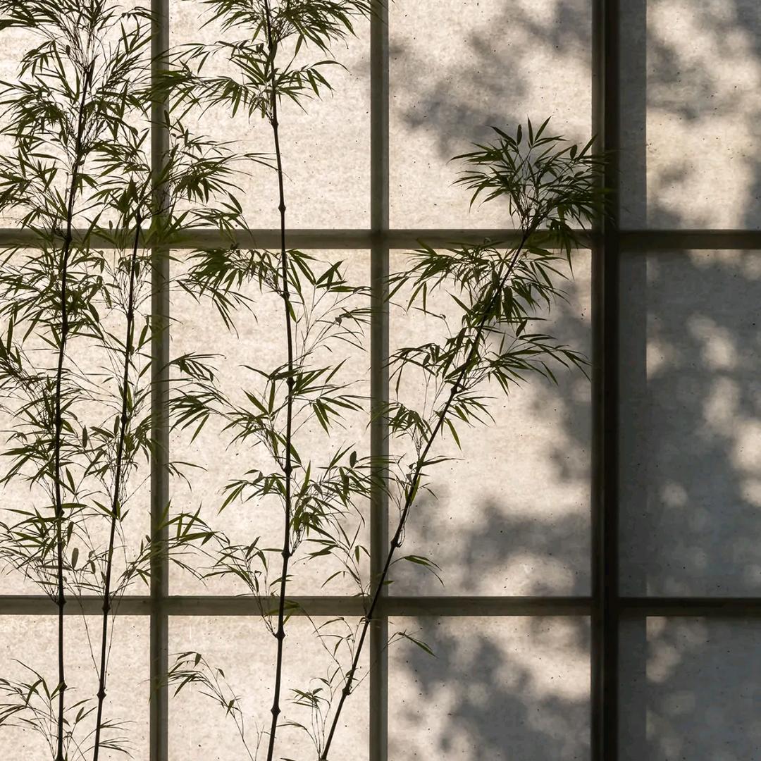 月黄昏