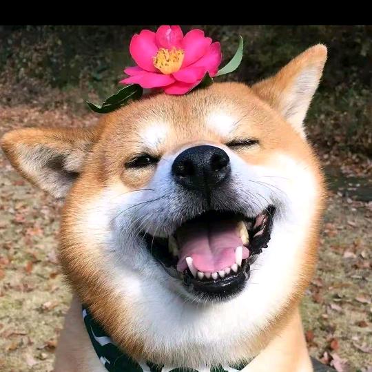 公益村杠把子