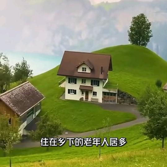 遗憾的过客