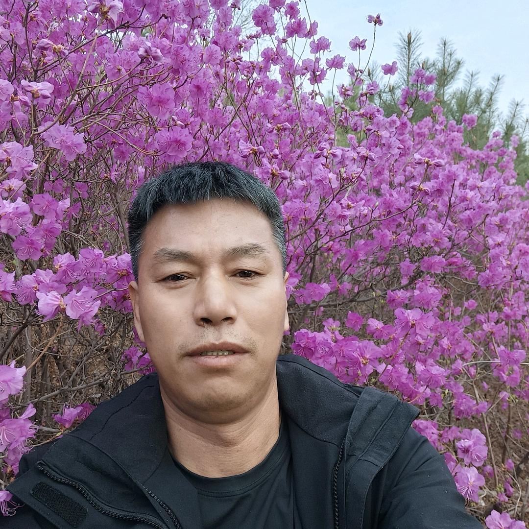 迷你家族