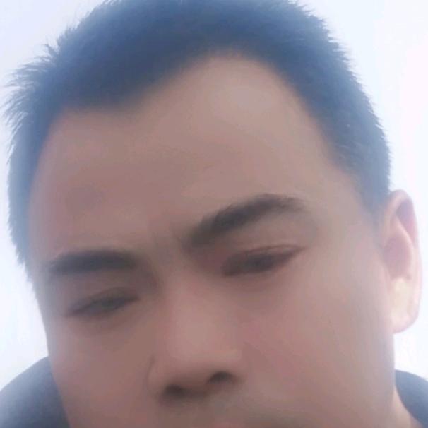 青云志。，，，，，