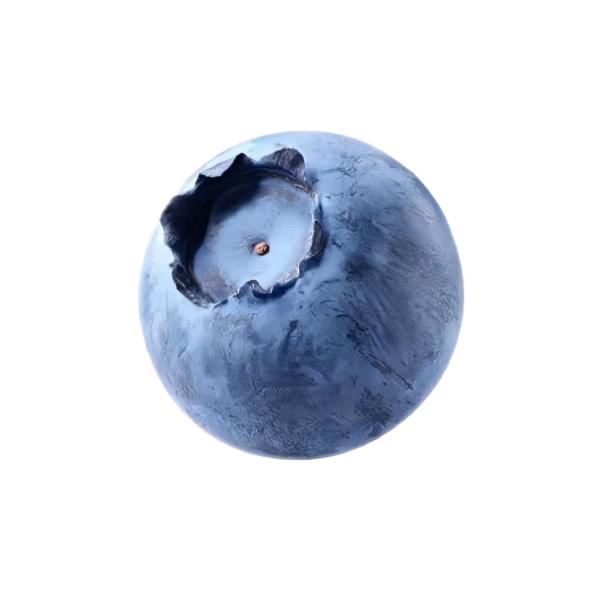 幸福蓝莓摊摊主🫐