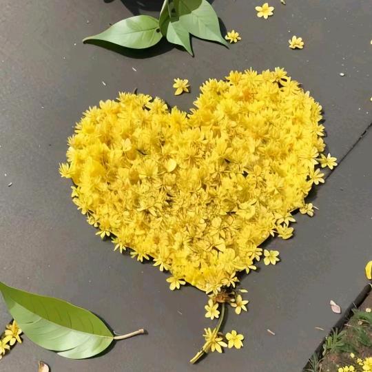 柳暗花明又一村