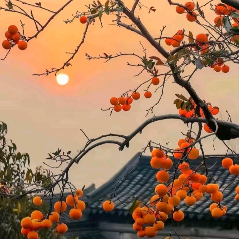 宁波恒耀人力资源有限公司