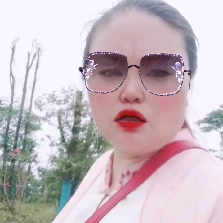 杨英群