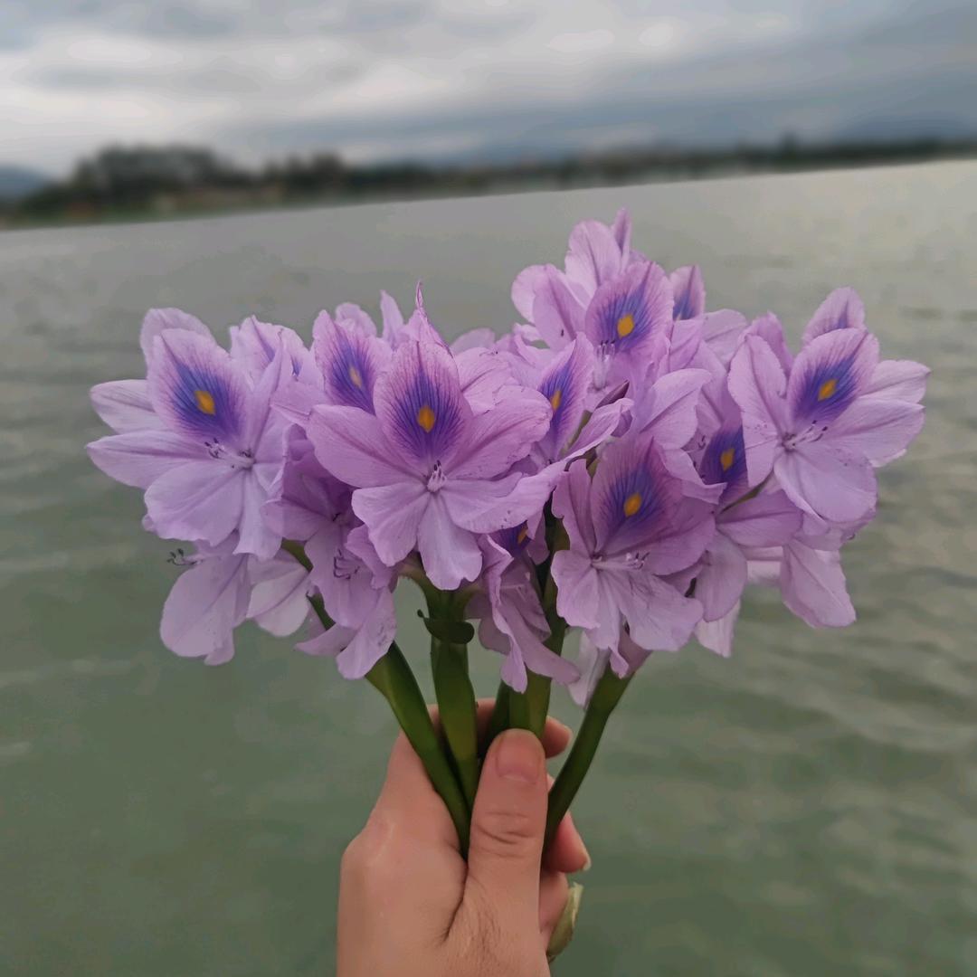 人生海海呀