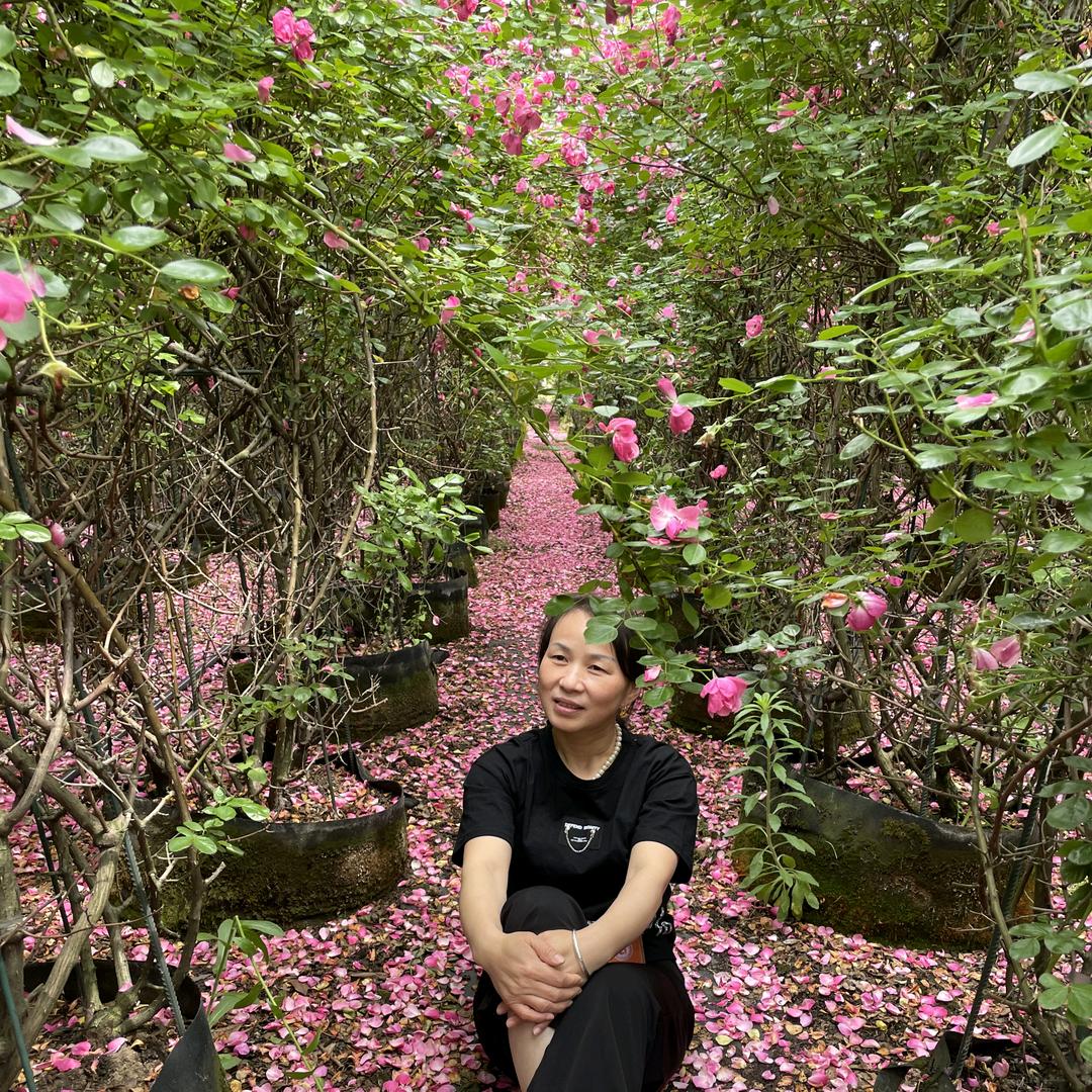 芮宁奶