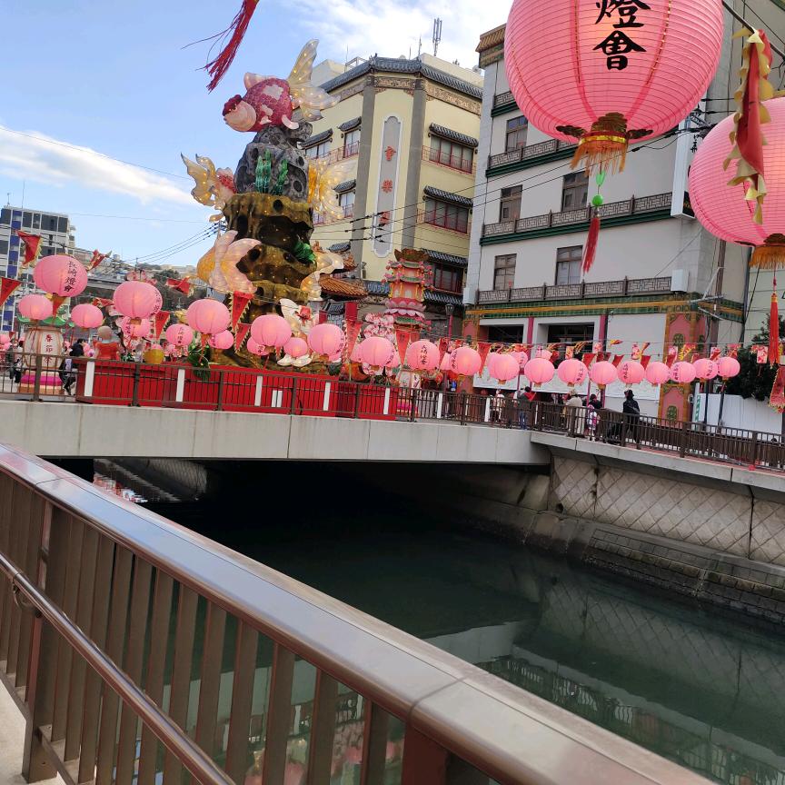 玉面菲狐