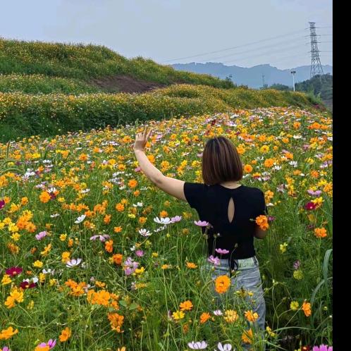 在宜宾做装修的燕子