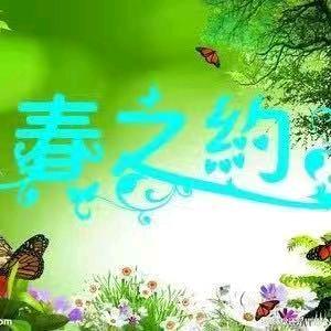 昆明春之约花卉