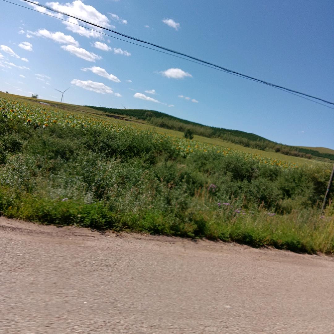 以友为桥，以心相交