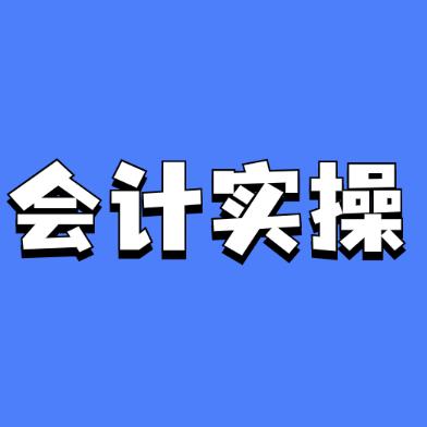 罗姐教会计实操