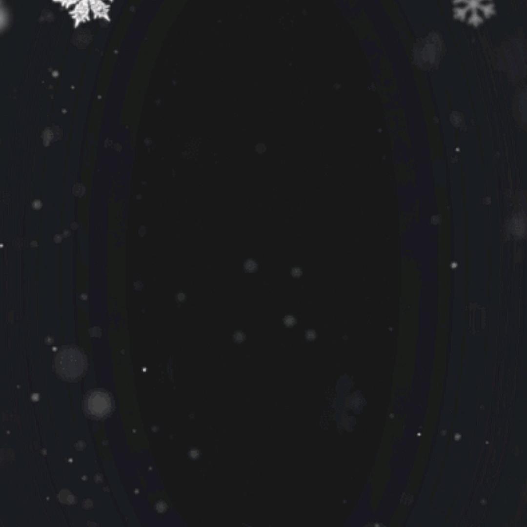 过肥年喜气洋洋