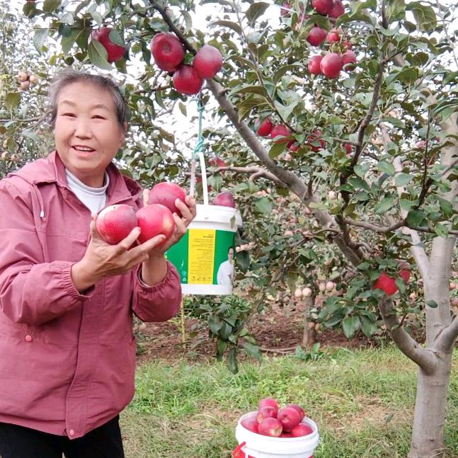 云昭果农【14：10】