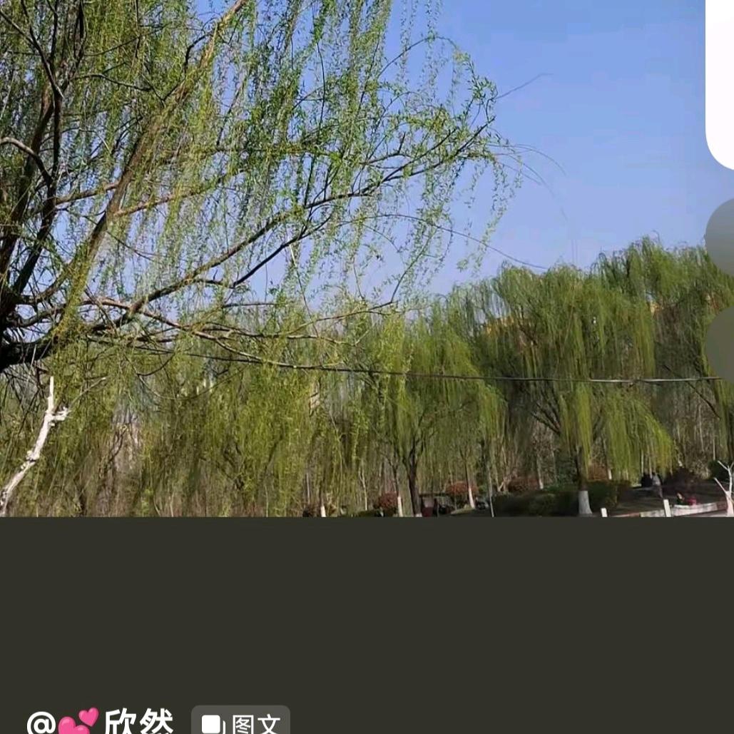 周姐