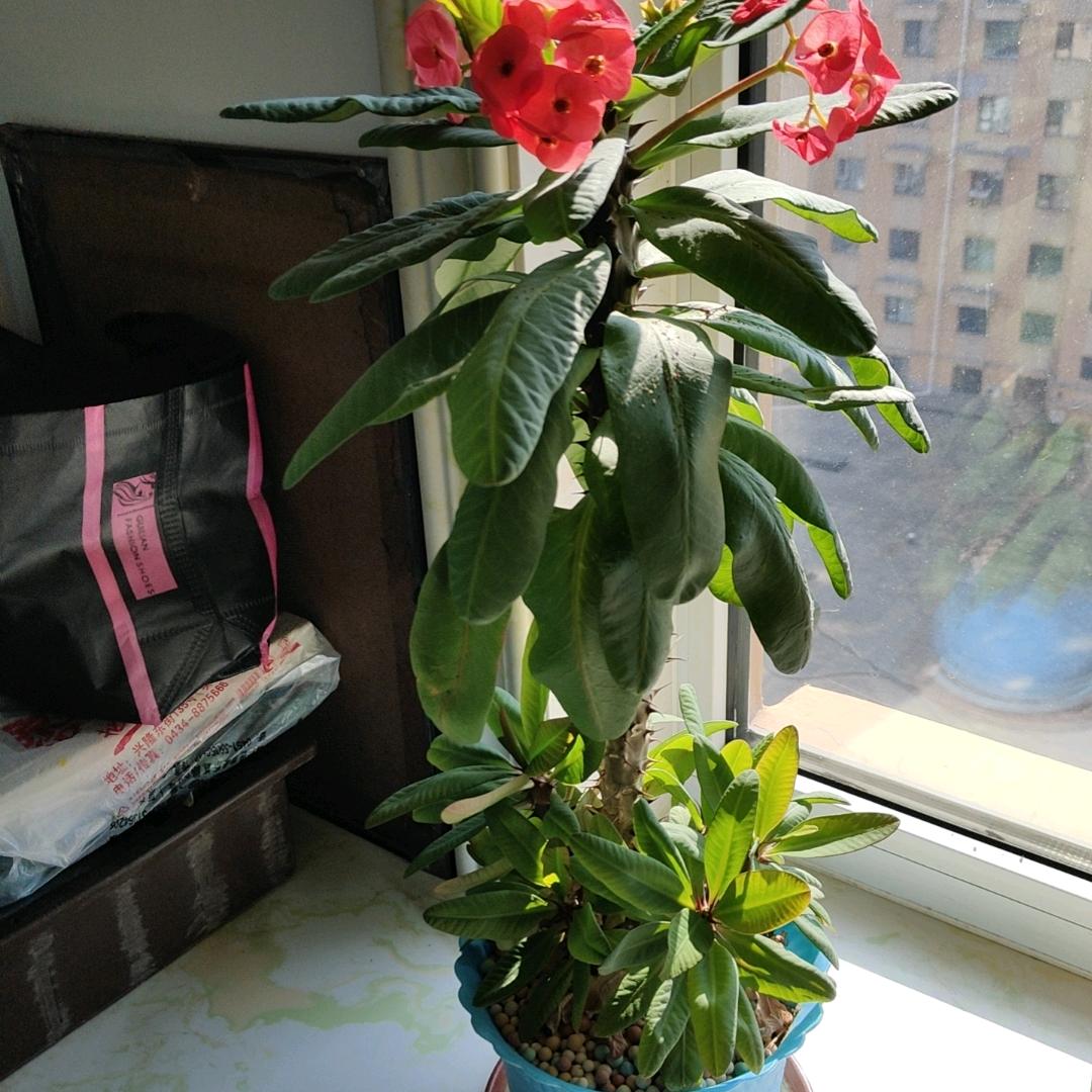 向幸福出发