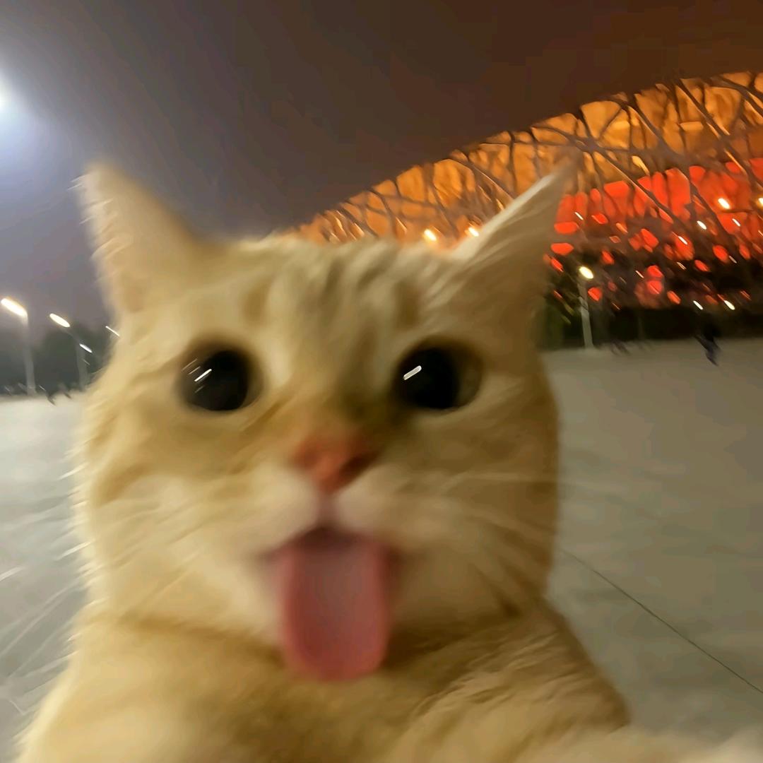 日照江河