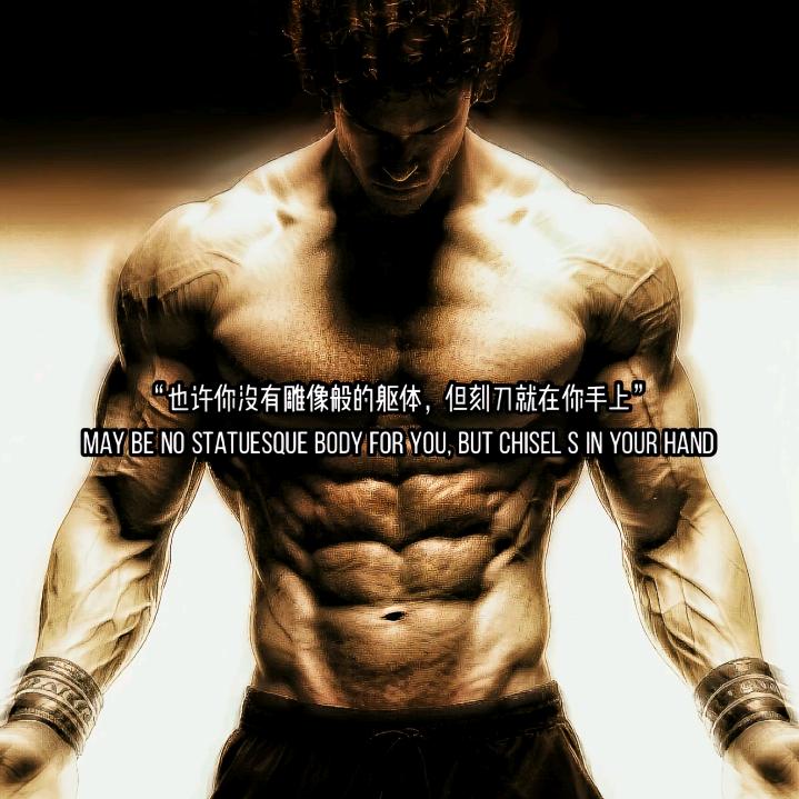 不负春光头像