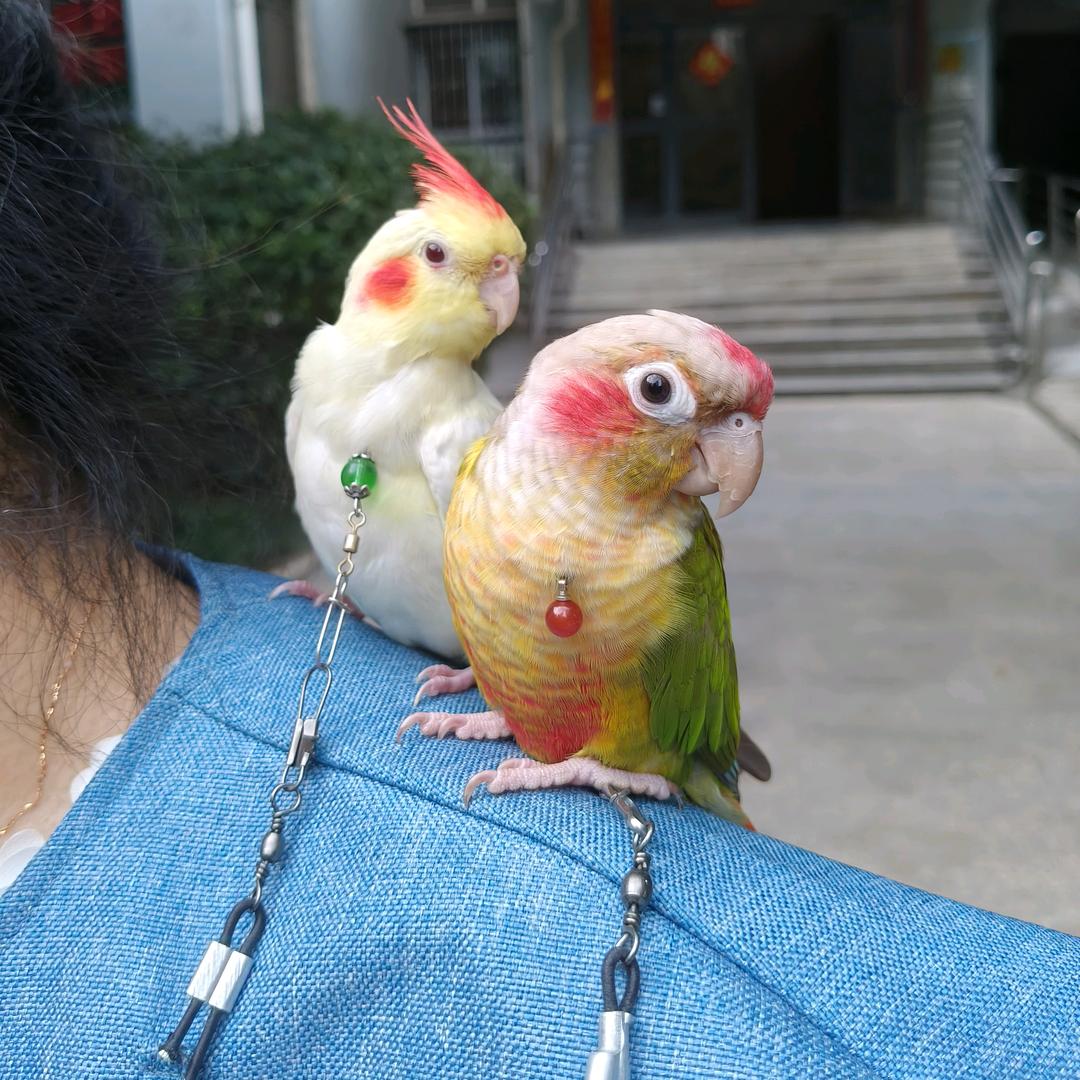 ❤️金秋太阳带来百万好运享受吉祥如意生活