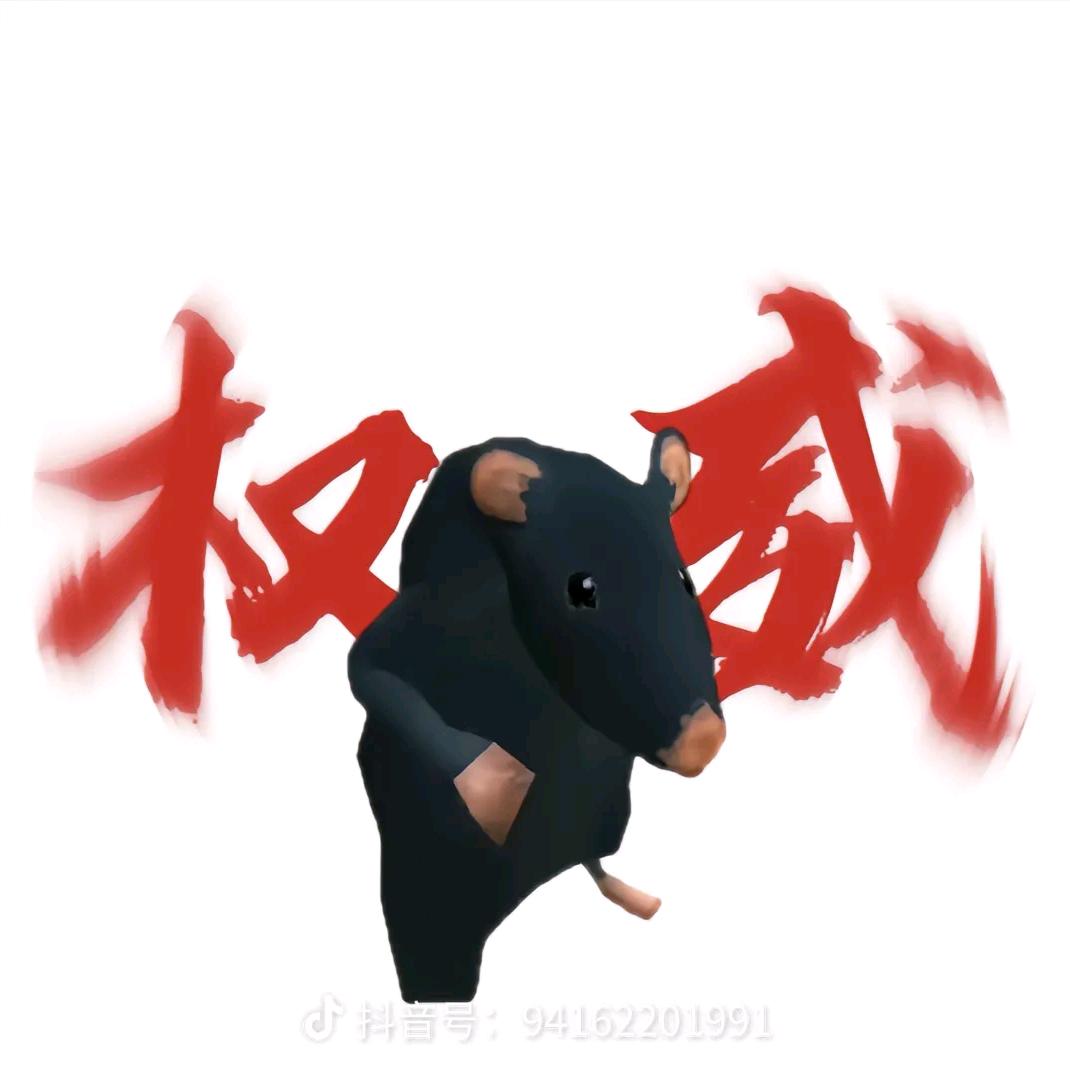 鼠鼠大王