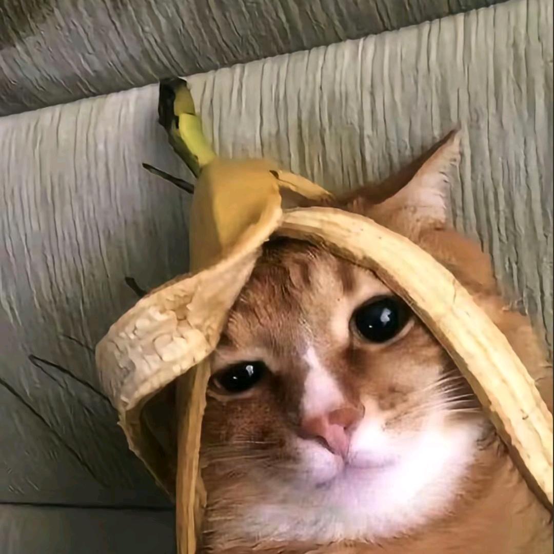 轻手帮人
